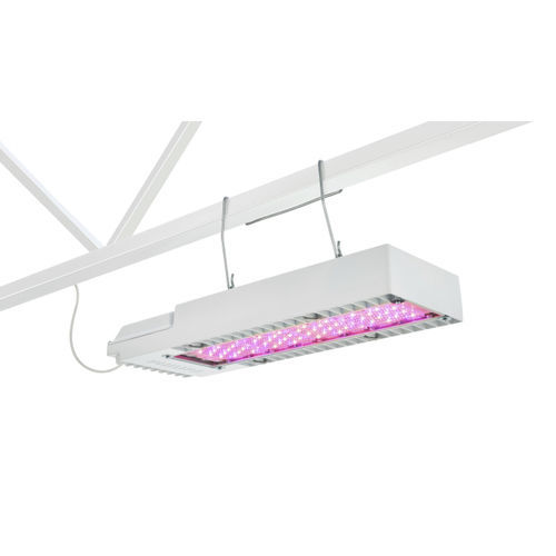 ��������� ��� ��������������� GreenPower Compact LED �����������