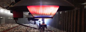 ���������� ��� �������������������� ������ ��� ���������� ������� ���������