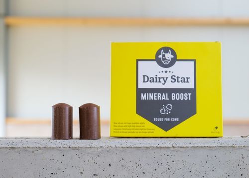 ����� ������� DairyStar Mineral Boost ��� �������� �������� ����� �������� ������� ������� ���� ������������