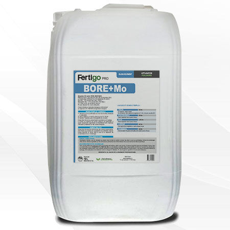 ����������� ��������� Fertigo Pro � BORE + MO � ��������������� ������ ���������� ��������