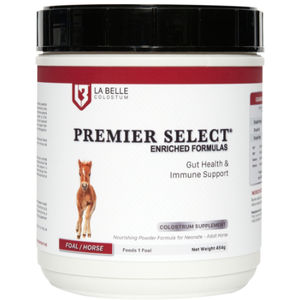 ���������� ��������� ��� ������� PREMIER SELECT � ����� �������