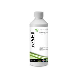 BioEnergy Solutions Inc : ������ � ������ ������� -