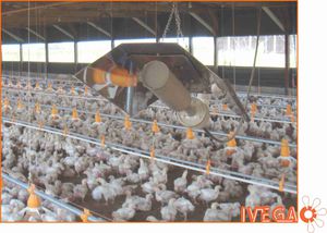 ������������ ��� ������������ Sistema de enfriamiento por fogging IVEGA