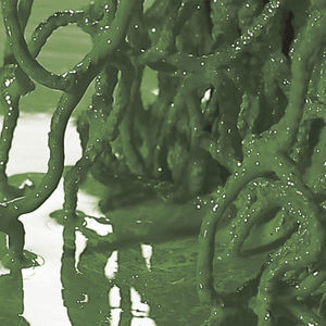 Mrenot Aquaculture AS : �������������� -