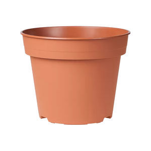 Thomsen S.A. : ����������� -