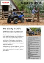 ���������� 4x4 KODIAK 700 EPS SE 4x2 � ���������� ���������� �����������
