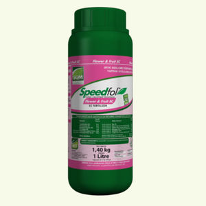 Doktor tarsa : ������ � ������ ������� -