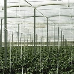 ������ ��� ������� DC SOLTERM �� LDPE �� ��� ����������� ������