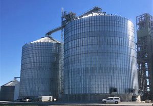 Chief Agri : �������������������� ��������� -