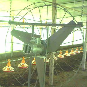 IVEGA-DOTEX S.A. : �������������� -