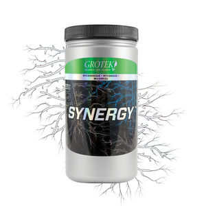 ����������� ��������� ROOT FORCE� ������������ ������� ��������