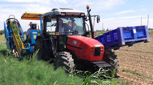 Carpi Meccanica Snc : �������������������� ������ -