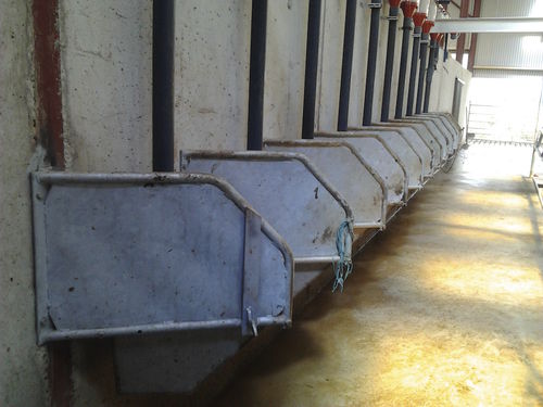 ������ ��� �������� �������� ����� ��� ��� �� ����� ��������� ���������