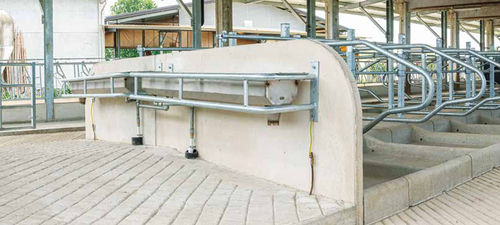 �������� ��� ����� �� �������