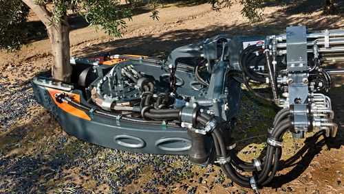 �������� ��� ����� ������ ��� ������� BUGGY 5000 S ��� ������ ���������� ������������