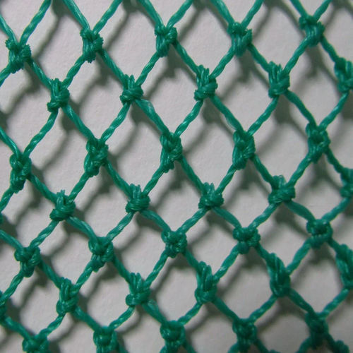 ����� ��� ����������� Green �������� �� ���� ����������