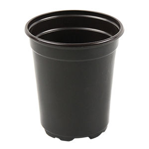 Ainong USA Corporation : ����������� -