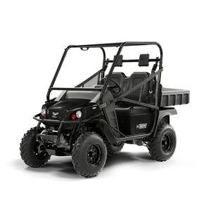 SSV 4x4 STAMPEDE EPS+ 2 ����� � ���������� ����������