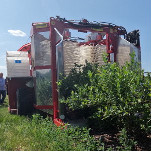 ��������� ������ ��� ����� FELIX Z ��� ������ ��� ���� ��� �����