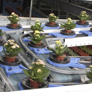 WPS : �������������������� ��������� -