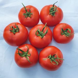 ������� ������ ������� KUANTUM ��� ��������� �������