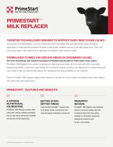 ���������� ������ ��� ����� PrimeStart� � ����� �������