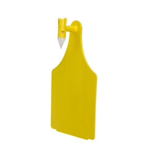 ����� ��� ���� �� ����������� Feedlot