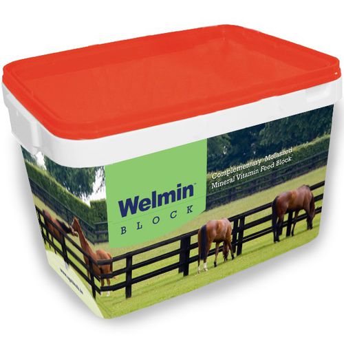 ������� ��� ������� Welmin Horse Block � ��������������� � ����������