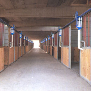 �������������� ������� ������������� ���� ��� ������� � �������� �����������