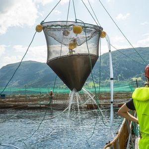 ���� ��� ������������ ��� ���������� ���������� � ����� ���������� �� Dyneema� ��� �����
