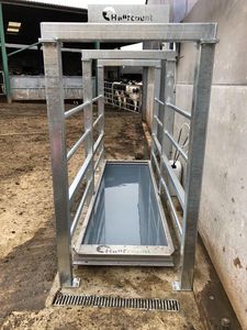HOOFCOUNT Ltd. : �������������� -