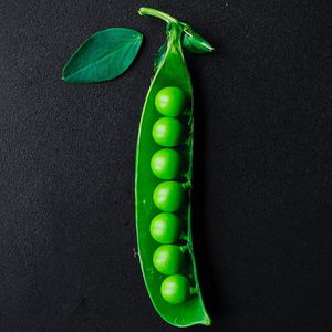 PanDia Seeds : ������ � ������ ������� -