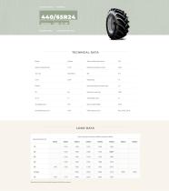 ���� ��� �������� 440/65R24 24" ��������������� � ��������� ����� D