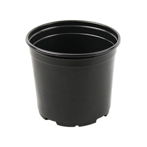 Ainong USA Corporation : ����������� -