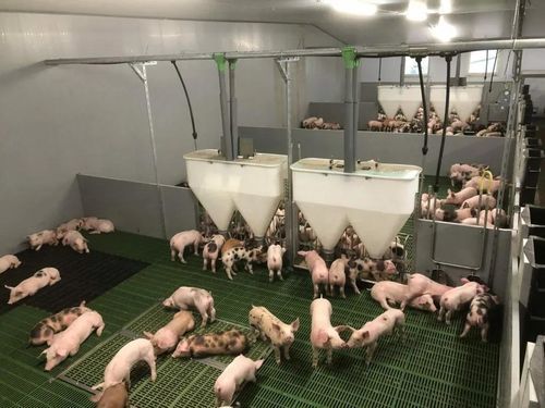 ���������� ������ �� �������� �� ������������� �� ����������� ����� ��� ���������� ������