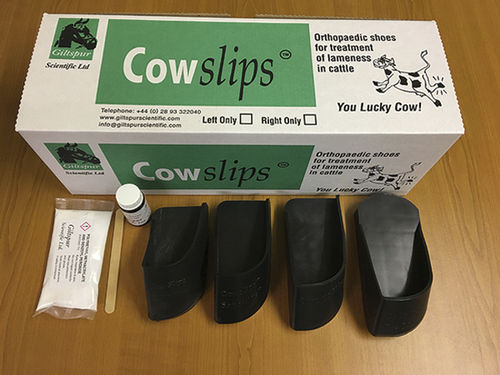 ������� ��� ����� ��� �������� �������� ����� CowSlips �� �������