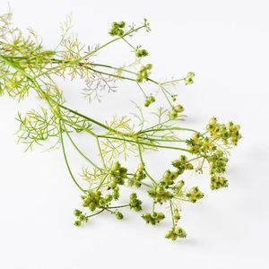 ���������� ������ ������� Granat ������������ ������
