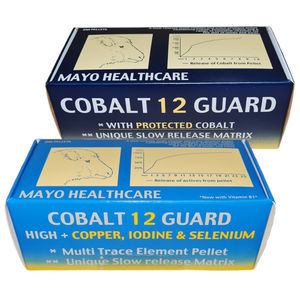 ����� ������� All Guard Ewe 4 in 1 ��� ���� ��� ��� ��� �������