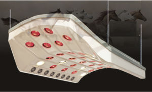 FMBs Therapy Systems : �������������� -