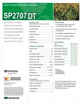 ���������� ������ ����� SP2707 DT ��� ����������� ���������� � ������� ���������