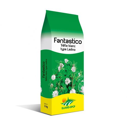 ���� ������ Fantastico ��� ������� �������� ��� ����� ����������