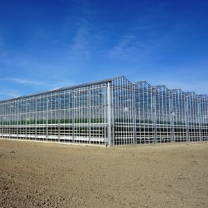 ������� ����� Activenlo� � ����������� ������� �� ������