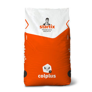 Startix : �������������� -