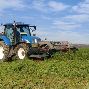 �������� ������� F-Sarracenia 260 �������� � ��������� � �������������