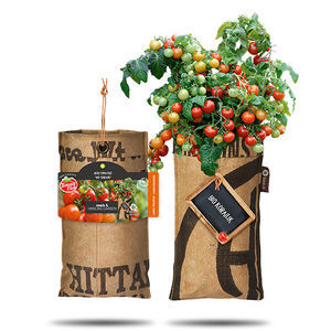 ������� ������ ������� ����� EXTRA JUICY MINIS �������