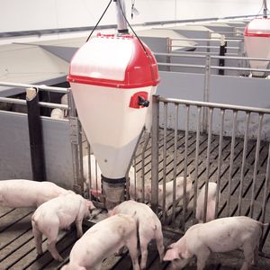 ������� ��� ��������� ������� VD5 �������� ��� ������ ��� ������� ��������� � ��������