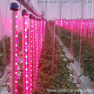 ��������� ��� ������� Wp4k-T8 LED �����������