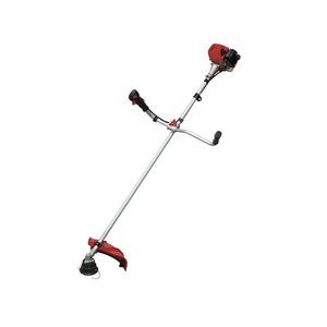 ZHEJIANG PAINIER TECHNOLOGY INC. : �������������������� ��������� -