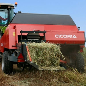 CICORIA Srl : �������������������� ������ -