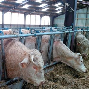 �������� ������� ��� ��� R ��� ����